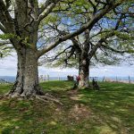 montabez-photo-andre-gentit-deepdive